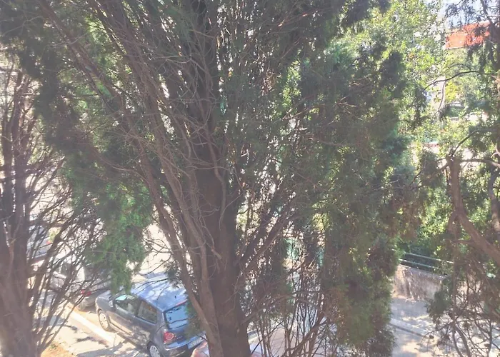 Luxury Marjan Hill With Garage Apartment